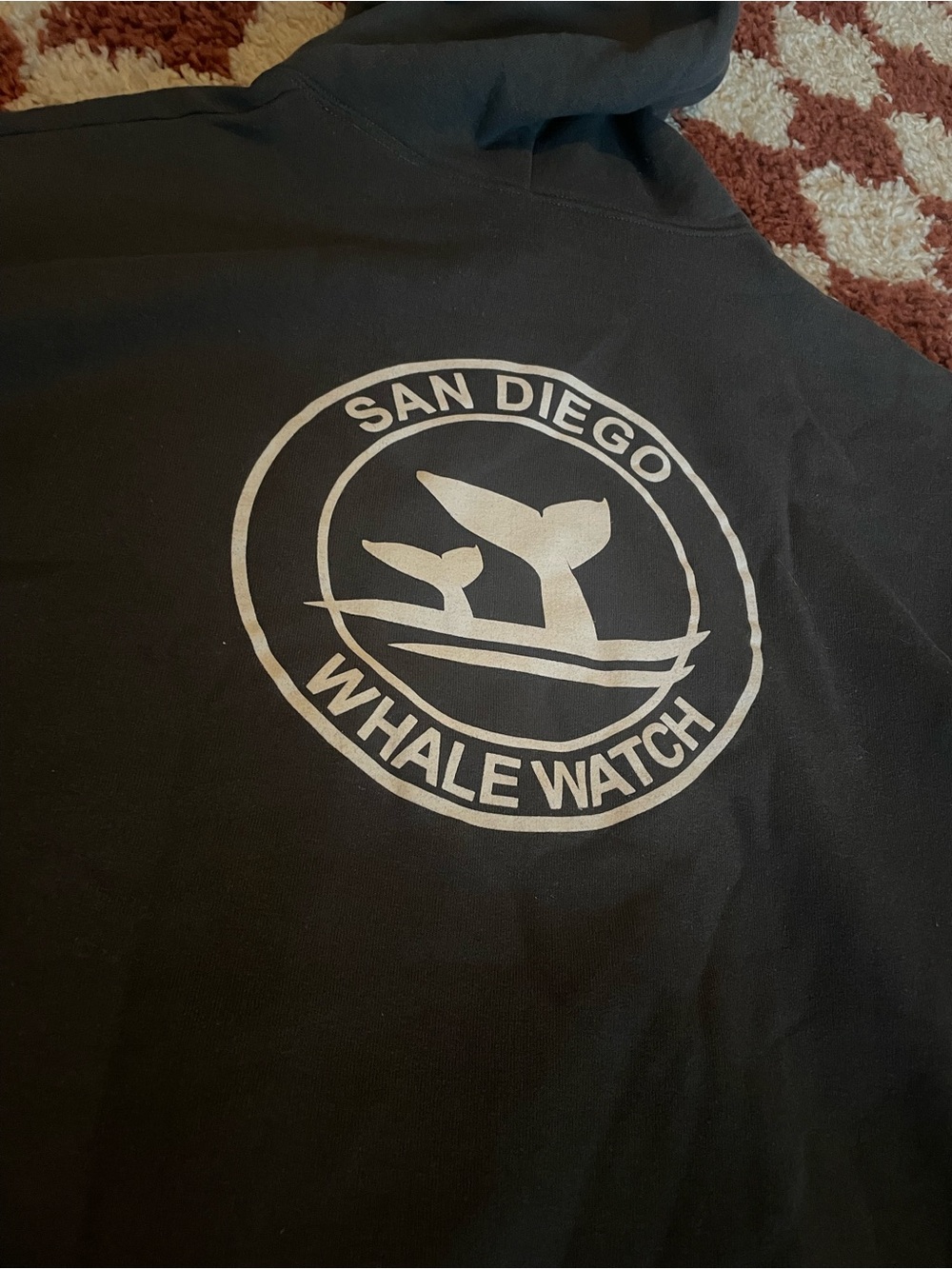 San Diego Whale Watch navy soft graphic Hoodie
